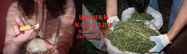 мяу мяу мука Михайловск