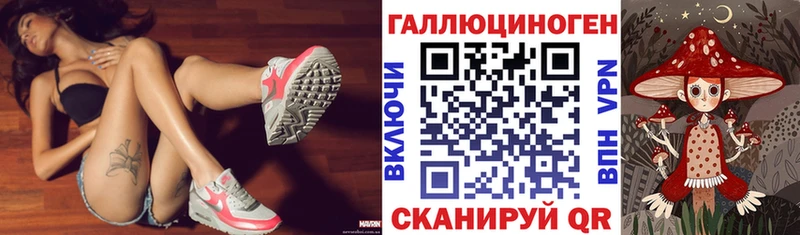 Псилоцибиновые грибы Psilocybine cubensis  дарк нет какой сайт  Ак-Довурак  даркнет сайт 